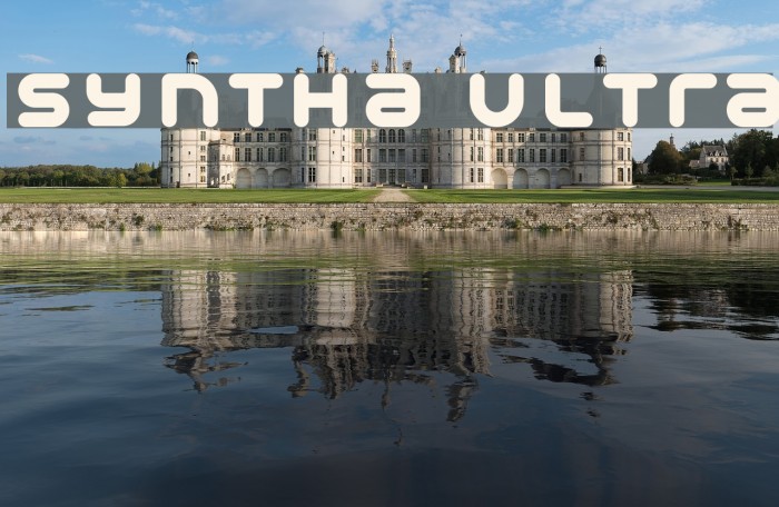 Syntha Ultra Example 2