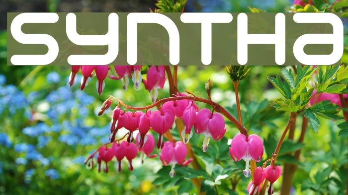 Syntha Font examples
