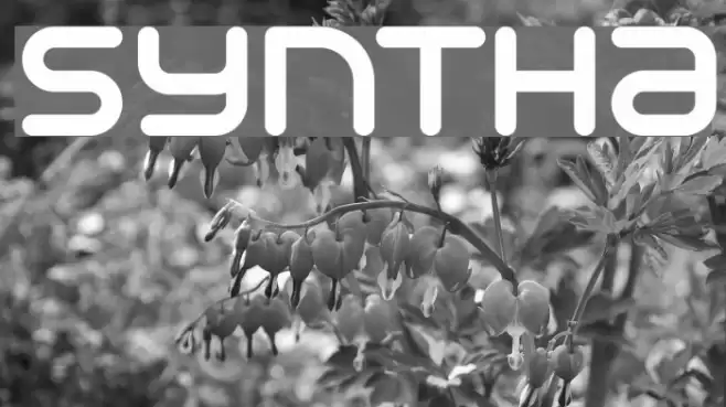 Syntha Font examples
