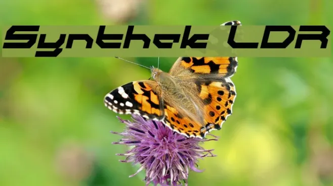Synthek LDR Example 3