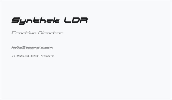 Synthek LDR Business Card