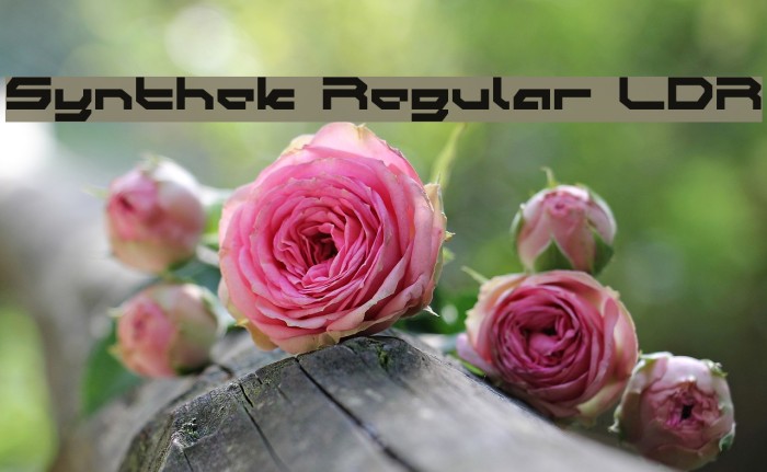Synthek Regular LDR Example 1