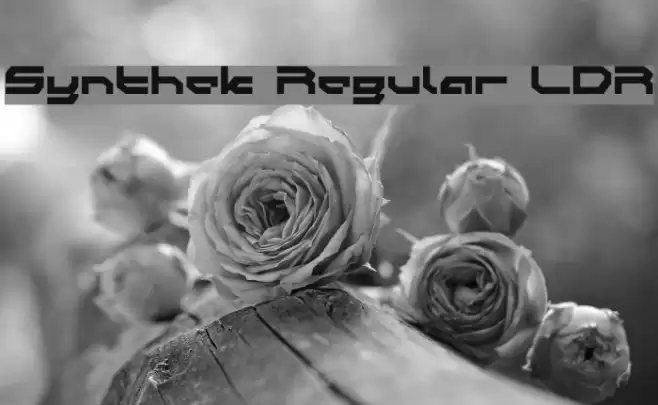 Synthek Regular LDR Font examples