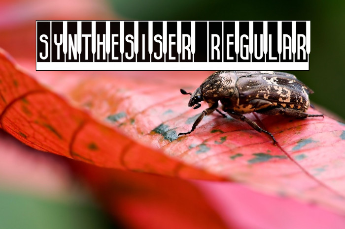 Synthesiser Regular Example 2