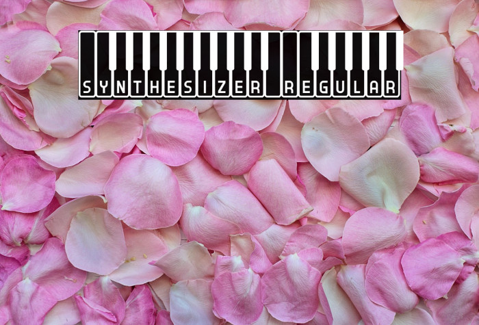 Synthesizer Regular Example 1