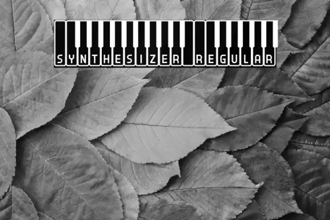 Synthesizer Regular Font examples