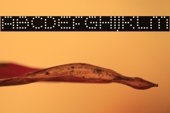 SynthetiqueOT Example 2