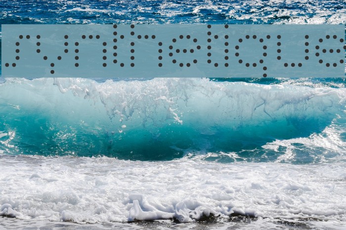 Synthetique Font examples