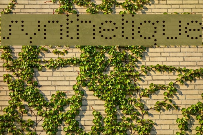 Synthetique Font examples