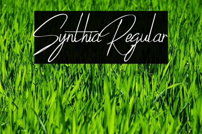 SynthiaRegular Font examples
