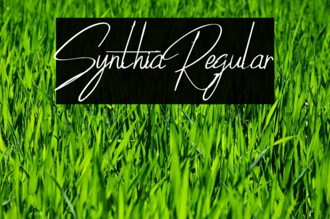 SynthiaRegular Example 1