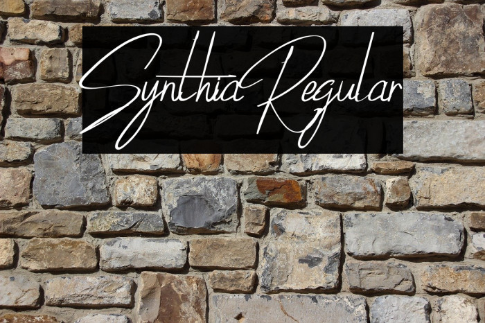 SynthiaRegular Font examples