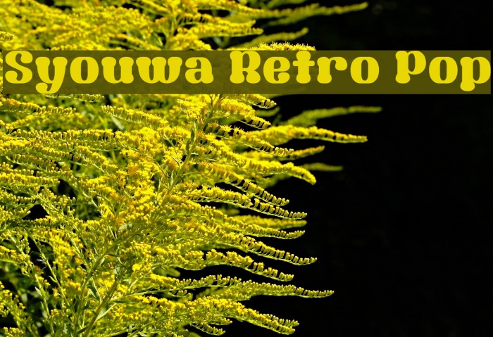 Syouwa Retro Pop Example 3