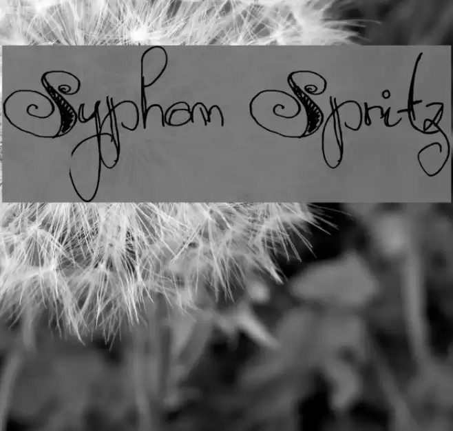 Syphon Spritz Font examples