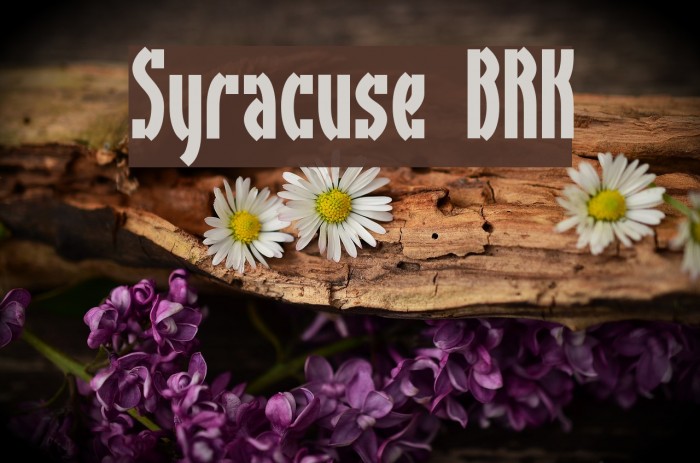 Syracuse BRK Font examples