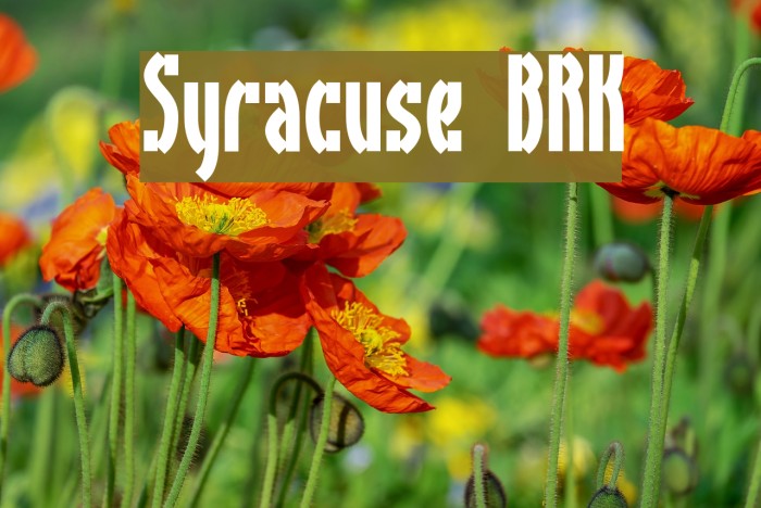 Syracuse BRK Font examples