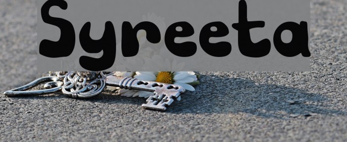 Syreeta Font examples