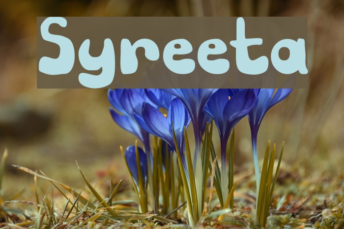 Syreeta Font examples