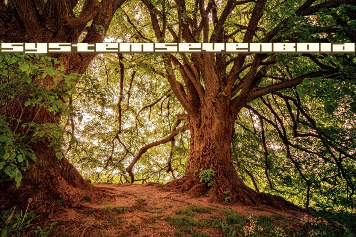 SystemSevenBold Example 1