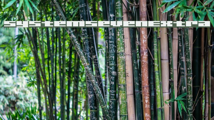 SystemSevenExtra Example 2