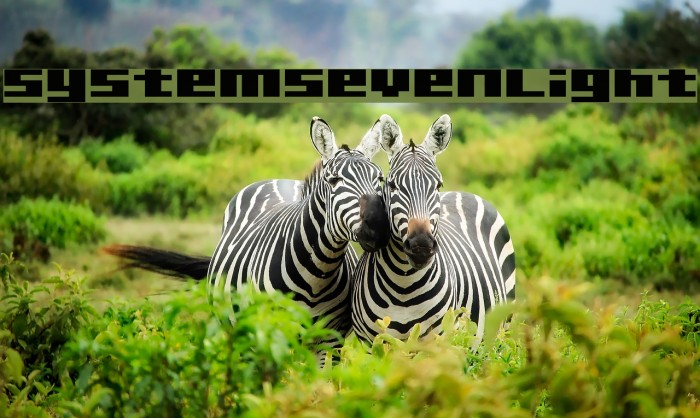 SystemSevenLight Example 1