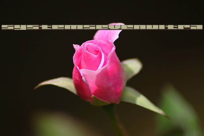 SystemSevenUltra Example 3