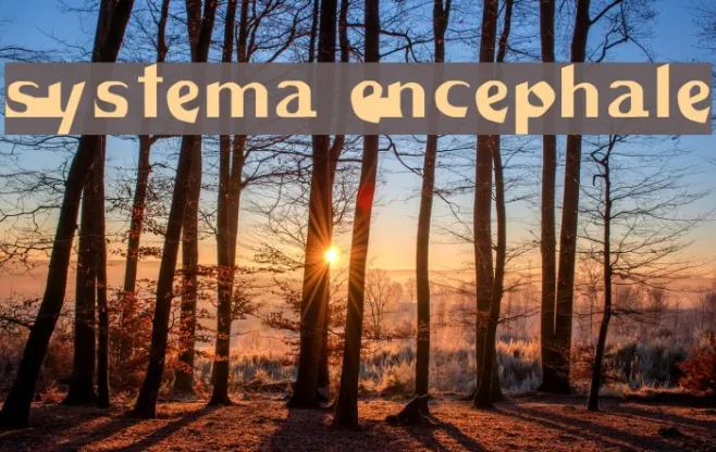 Systema Encéphale Example 1