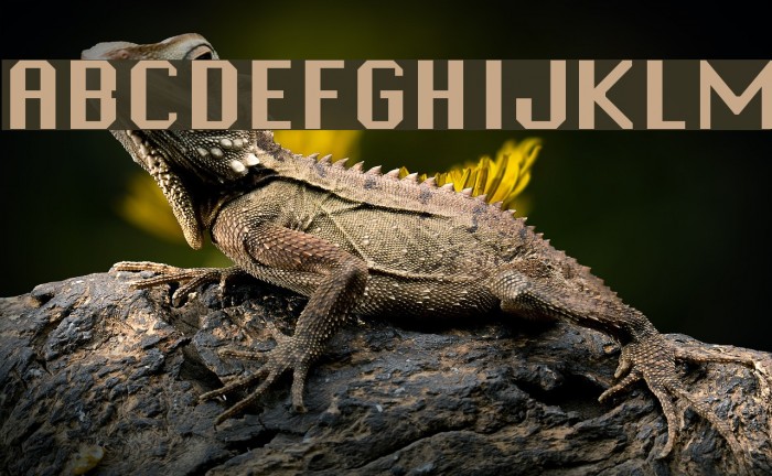 Systematic New J Font examples
