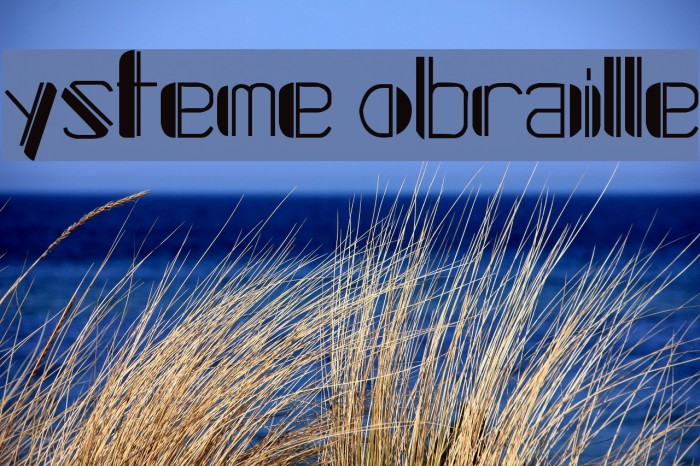 Systeme Robraille Font examples