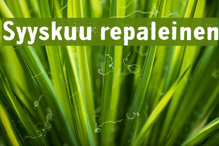 Syyskuu repaleinen Font examples