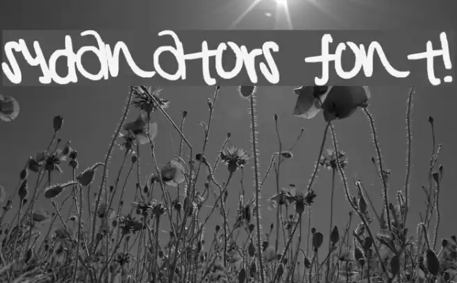 sydanators font! Font examples