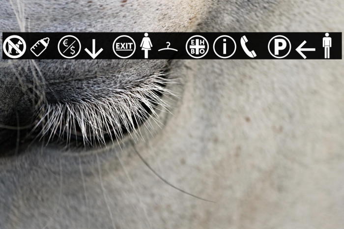 symbol signs Caratteri examples