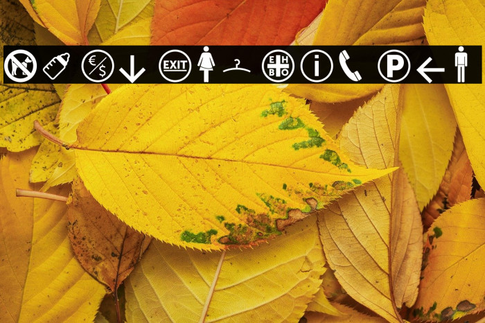 symbol signs Caratteri examples