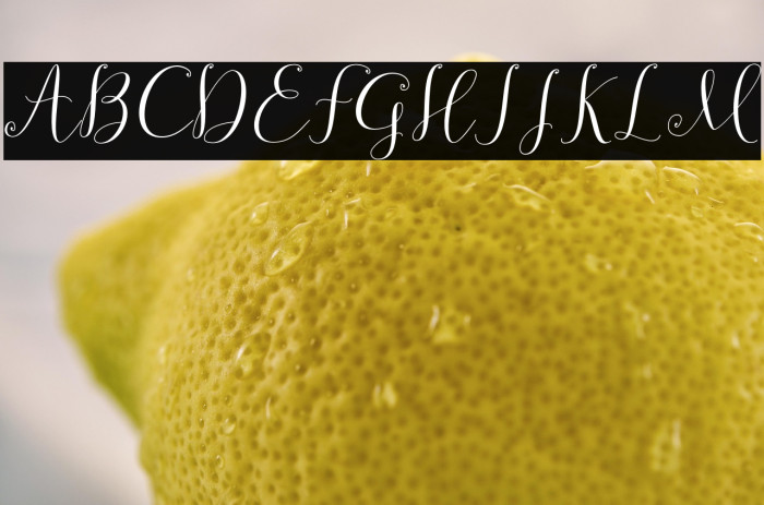 symphonyScript-Regular Example 2