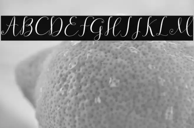 symphonyScript-Regular Font examples