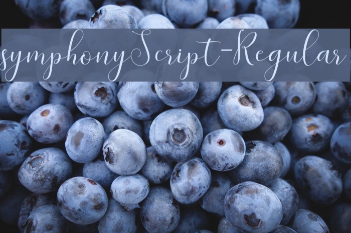 symphonyScript-Regular Example 1