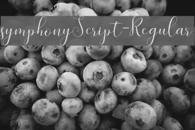 symphonyScript-Regular Font examples