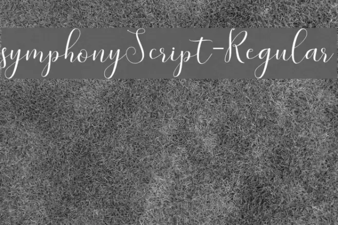 symphonyScript-Regular Font examples