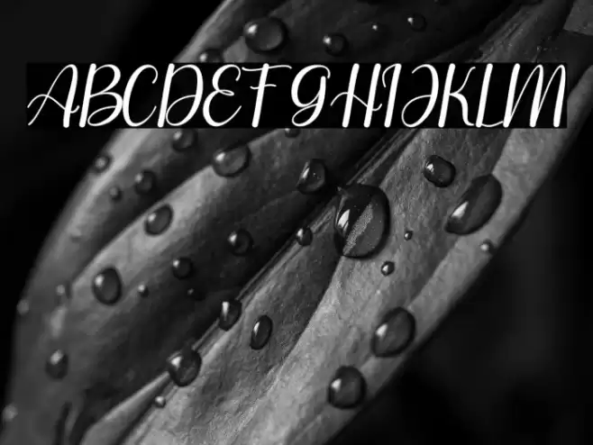 symphonys Font examples