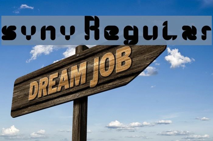 syny! Regular Example 1