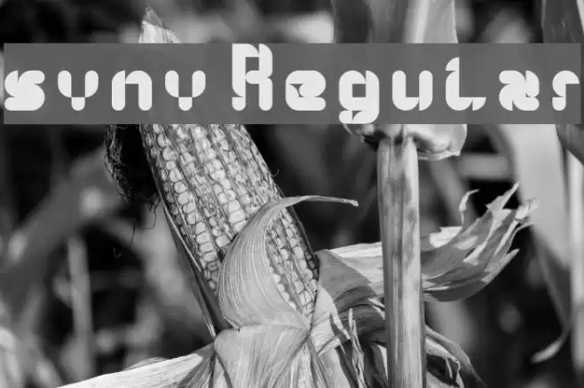 syny! Regular Font examples