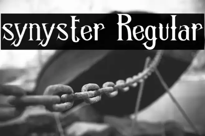 synyster Regular Font examples