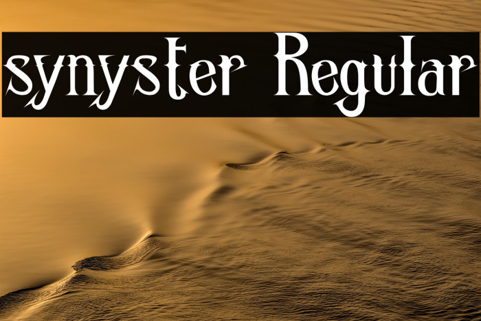 synyster Regular Example 2