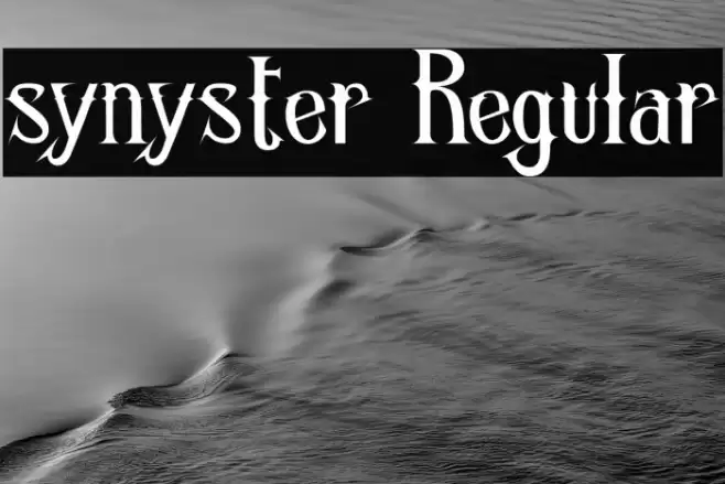 synyster Regular Font examples