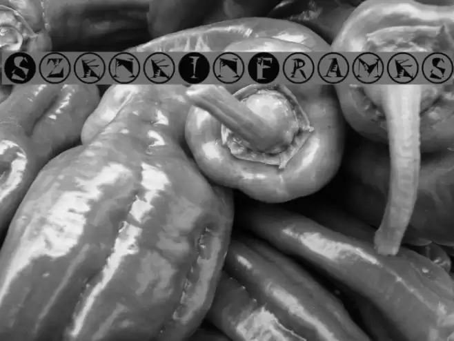 SzeneInFrames Font examples