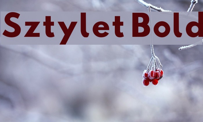 Sztylet Bold Font examples