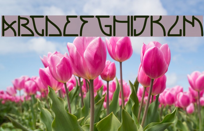 Szwederowo Font examples