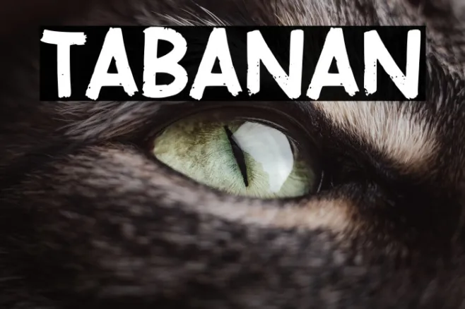 TABANAN Example 1