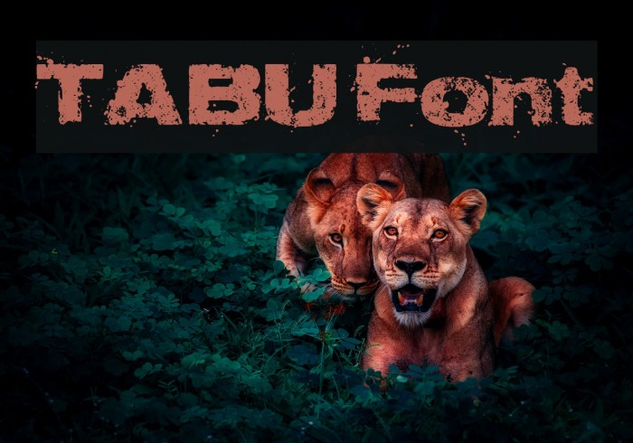 TABU Font examples