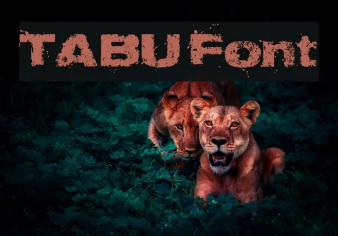 TABU Example 1